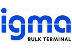 IGMA Logo