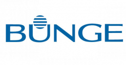 Bunge Netherlands BV Logo